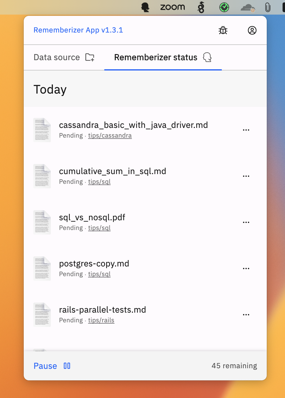 Écran de statut de l'application Rememberizer